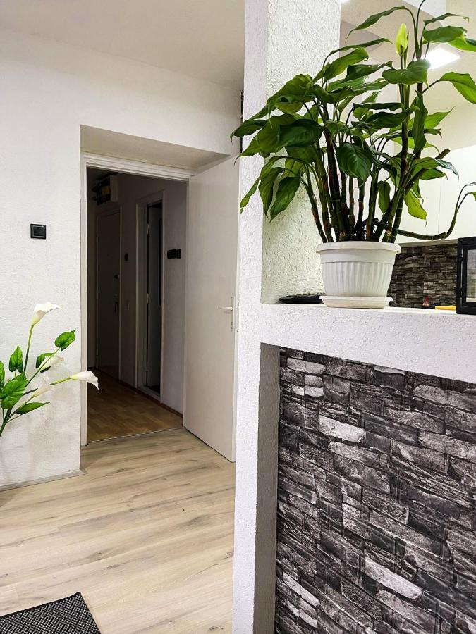 Apartment Tatjana Kragujevac Exterior foto
